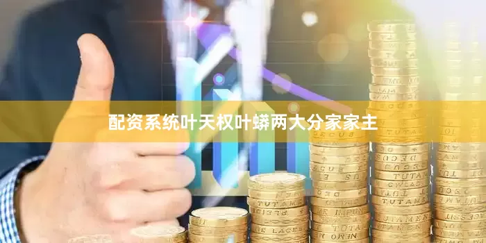 配资系统叶天权叶蟒两大分家家主