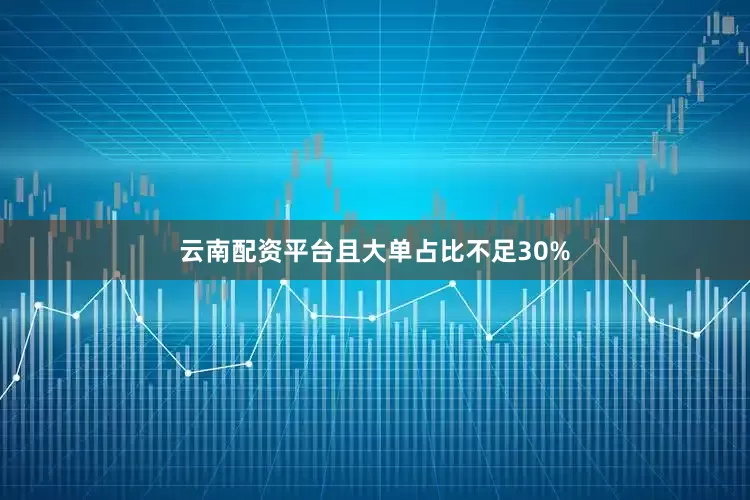 云南配资平台且大单占比不足30%