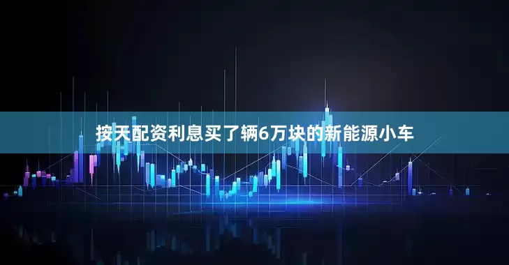 按天配资利息买了辆6万块的新能源小车