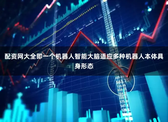 配资网大全即一个机器人智能大脑适应多种机器人本体具身形态